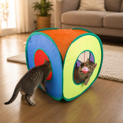 [Scale AI] lifestyle — Kedi Oyun Tüneli